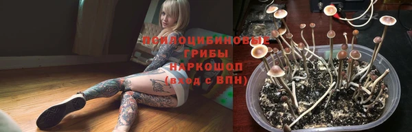 ECSTASY Вязьма